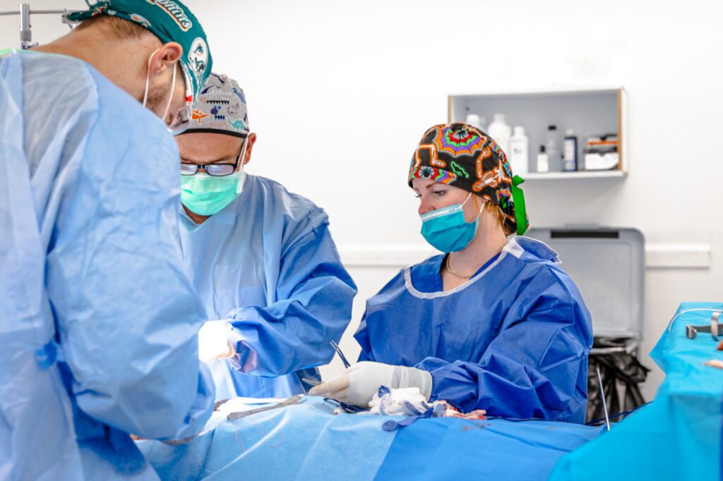 Why Pair Liposuction With Renuvion Skin Tightening