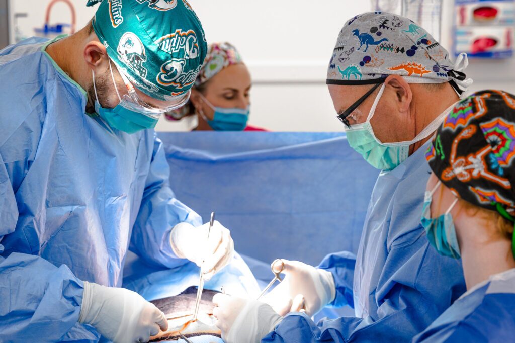 Renuvion vs. Excess Skin Removal: How to Determine Your Best Option